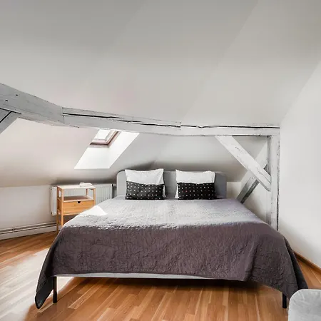 Roof View And Parking Assistance