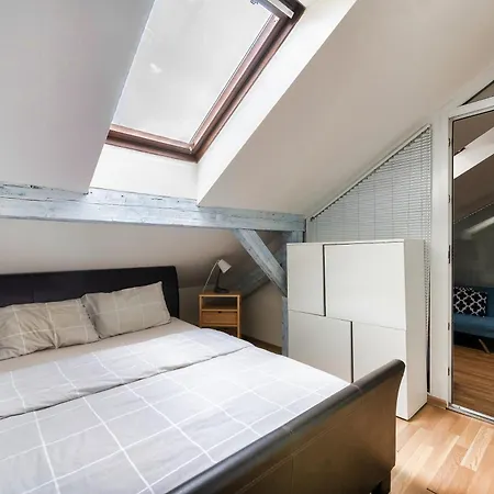 Roof View And Parking Assistance Praag