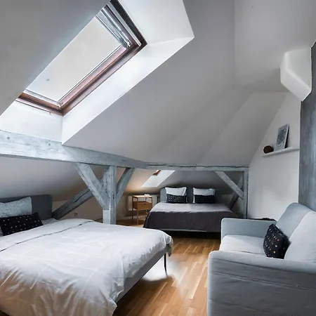Appartement Roof View And Parking Assistance Praag