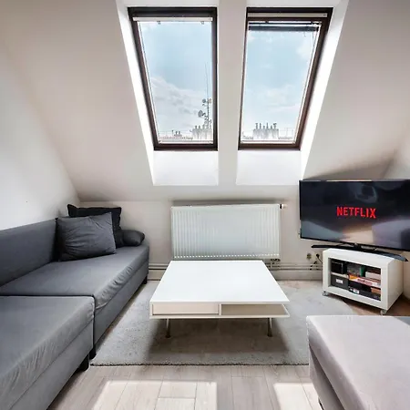 Roof View And Parking Assistance *