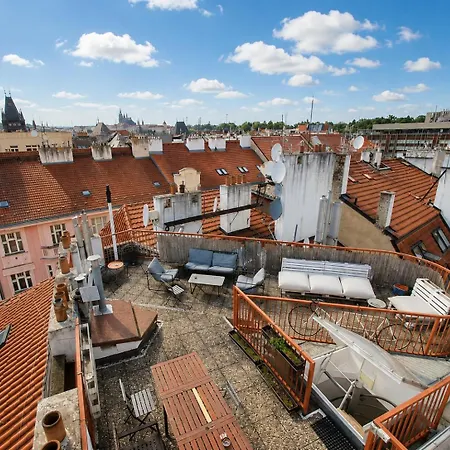 Roof And Parking Assistance