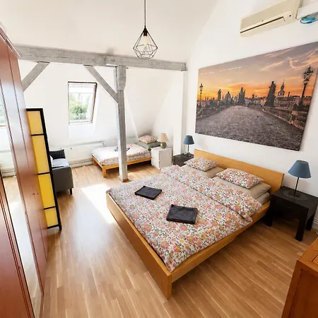 Roof And Parking Assistance Apartment