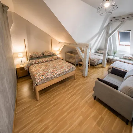 Roof And Parking Assistance Apartament Praga