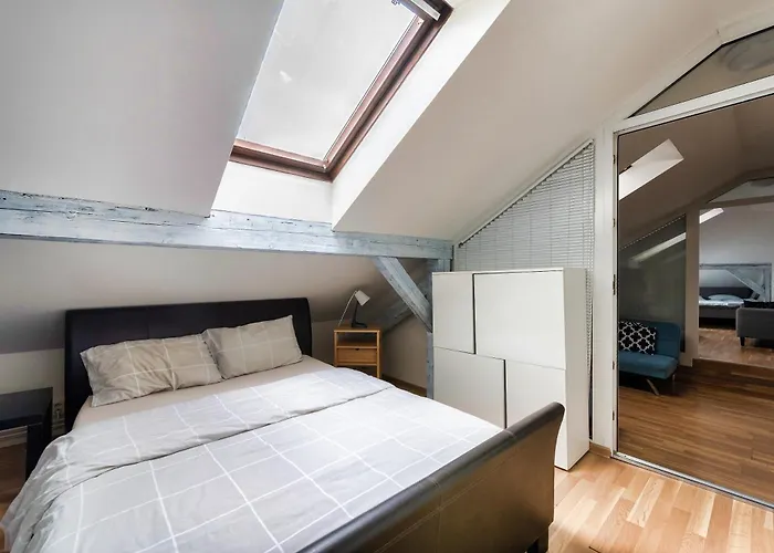 Roof View And Parking Assistance Prag