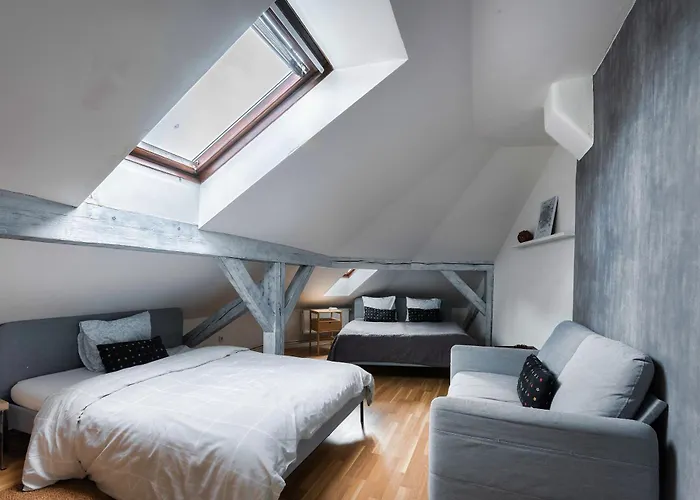 Daire Roof View And Parking Assistance Prag