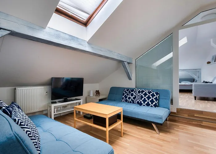 Roof View And Parking Assistance Daire