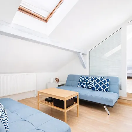 Apartman Roof And Parking Assistance