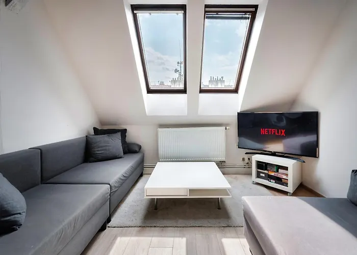 Roof View And Parking Assistance *